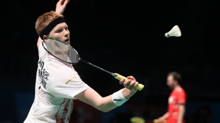 爱以及不屈 爱以及不屈